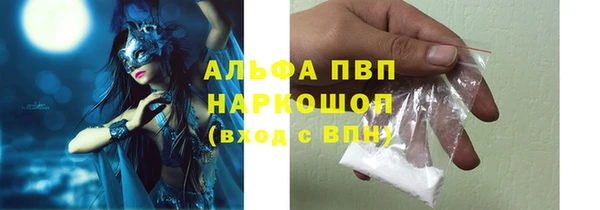 ECSTASY Костерёво
