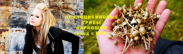 первитин Кукмор