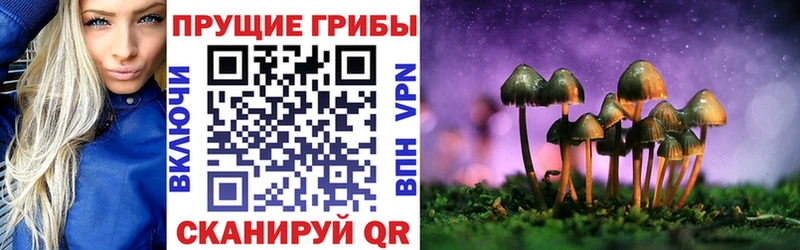 Галлюциногенные грибы Magic Shrooms  Купить закладки  Барабинск 